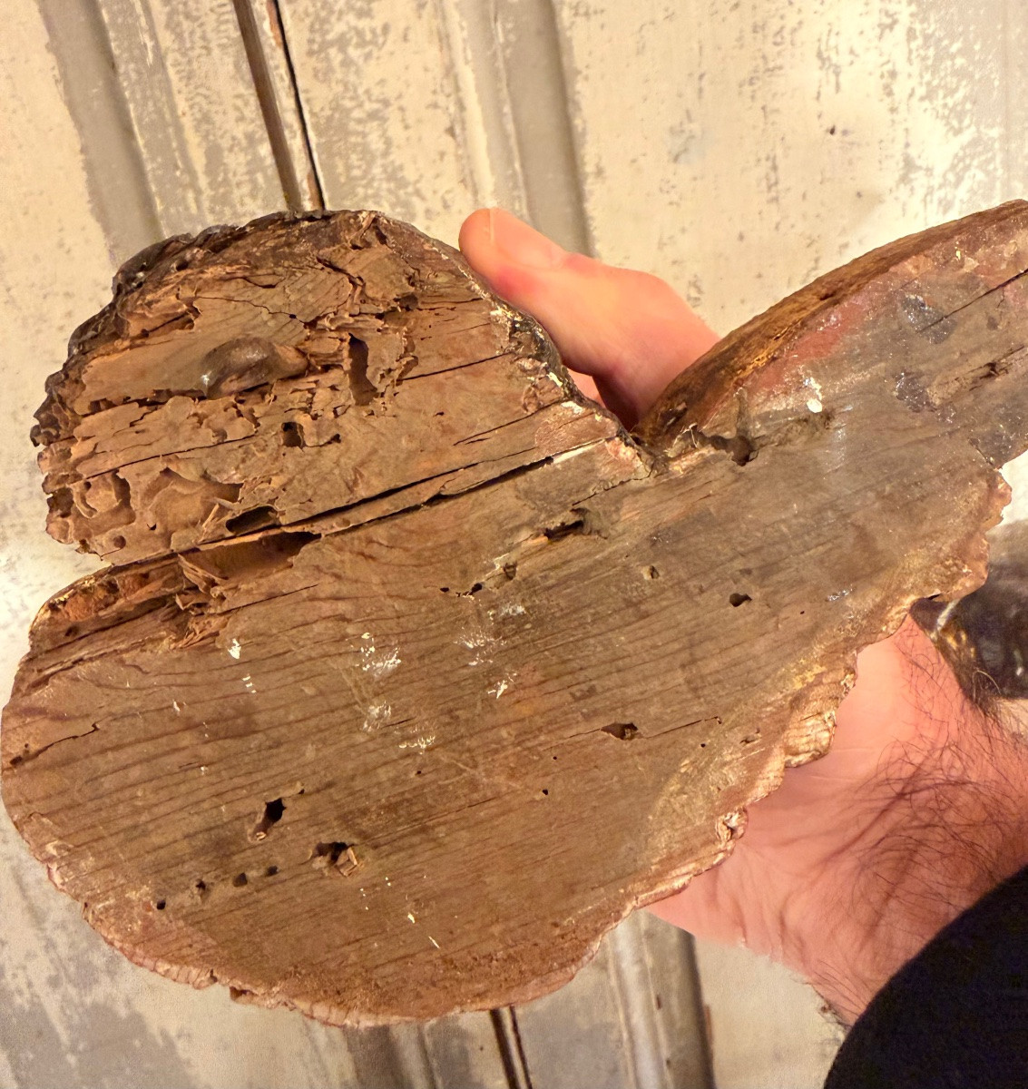 Angelots Or Putti-photo-3