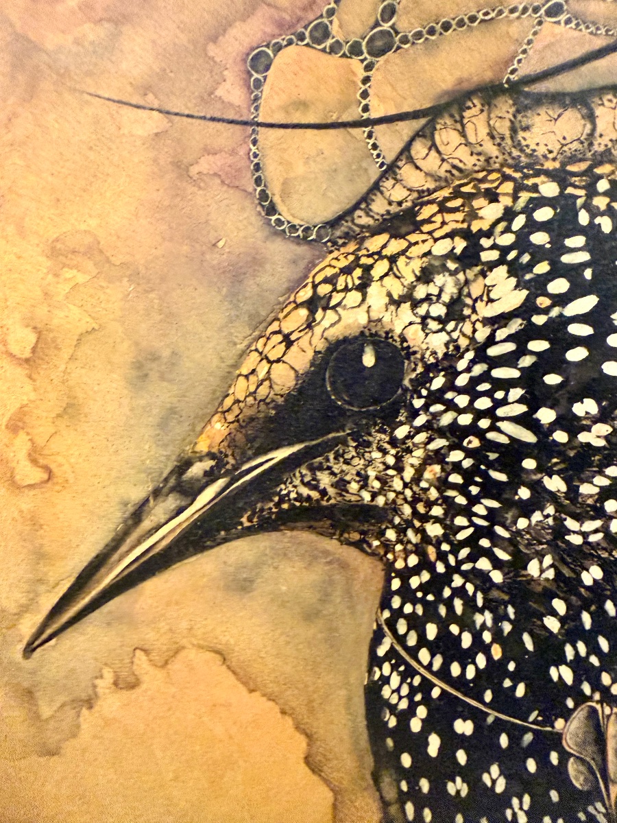 The Starling -photo-4