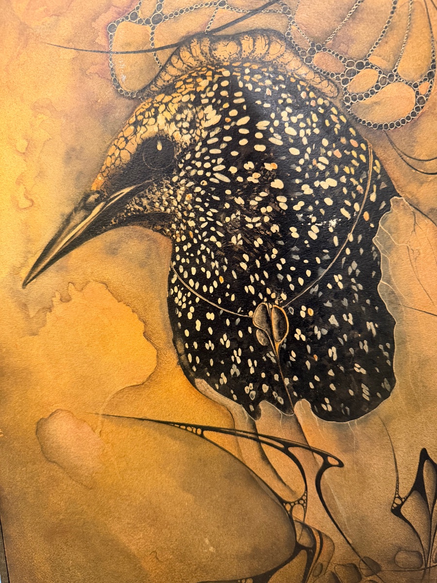 The Starling -photo-1