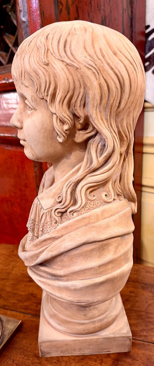 Bust Of The Dauphin -photo-1