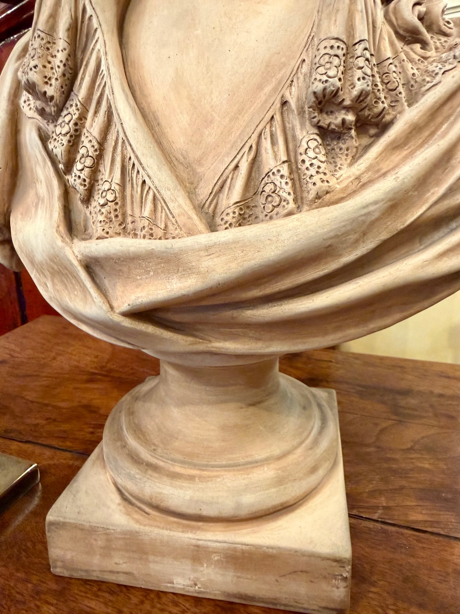 Bust Of The Dauphin -photo-2