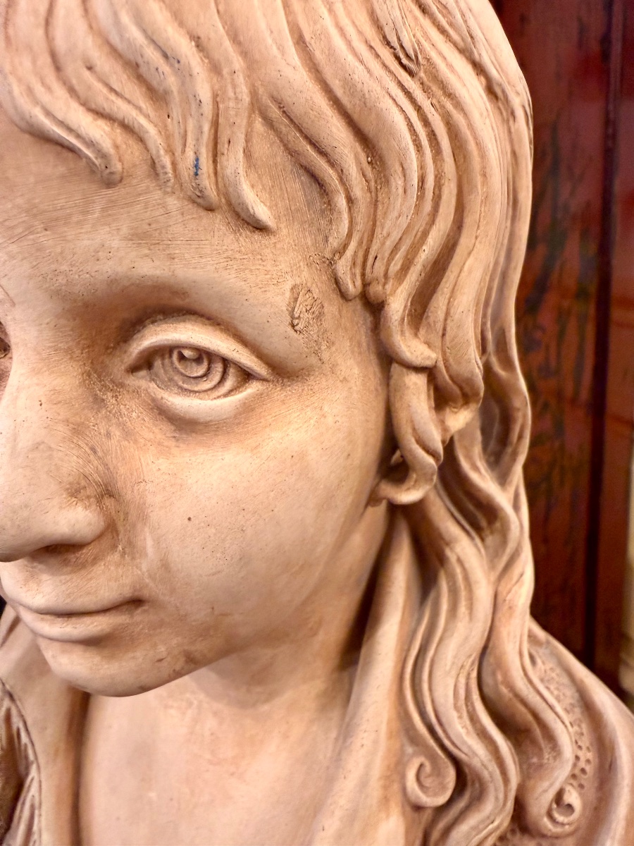 Bust Of The Dauphin -photo-4