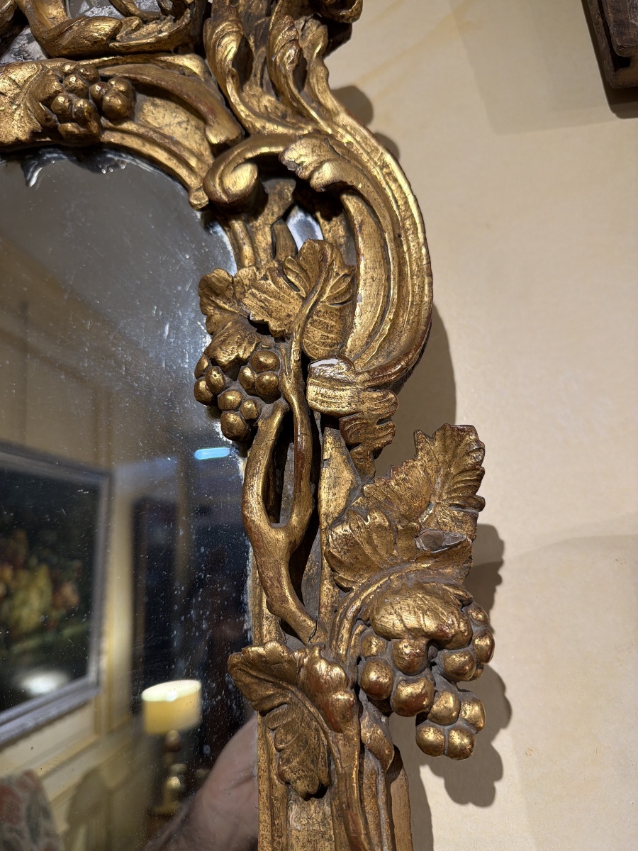 Louis XV Rocaille Mirror -photo-3