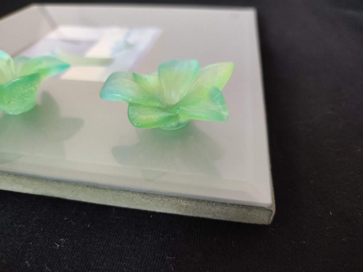 Cadre photo cristal Daum amaryllis feuillure 9 cm x 9 cm -photo-2