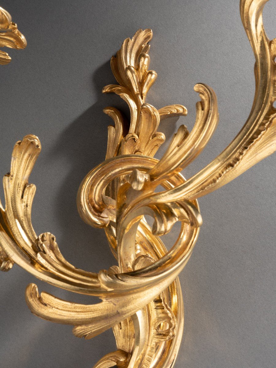 Four Ormolu Louis XV Wall Lights-photo-5