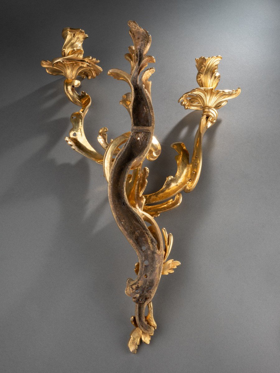 Four Ormolu Louis XV Wall Lights-photo-6