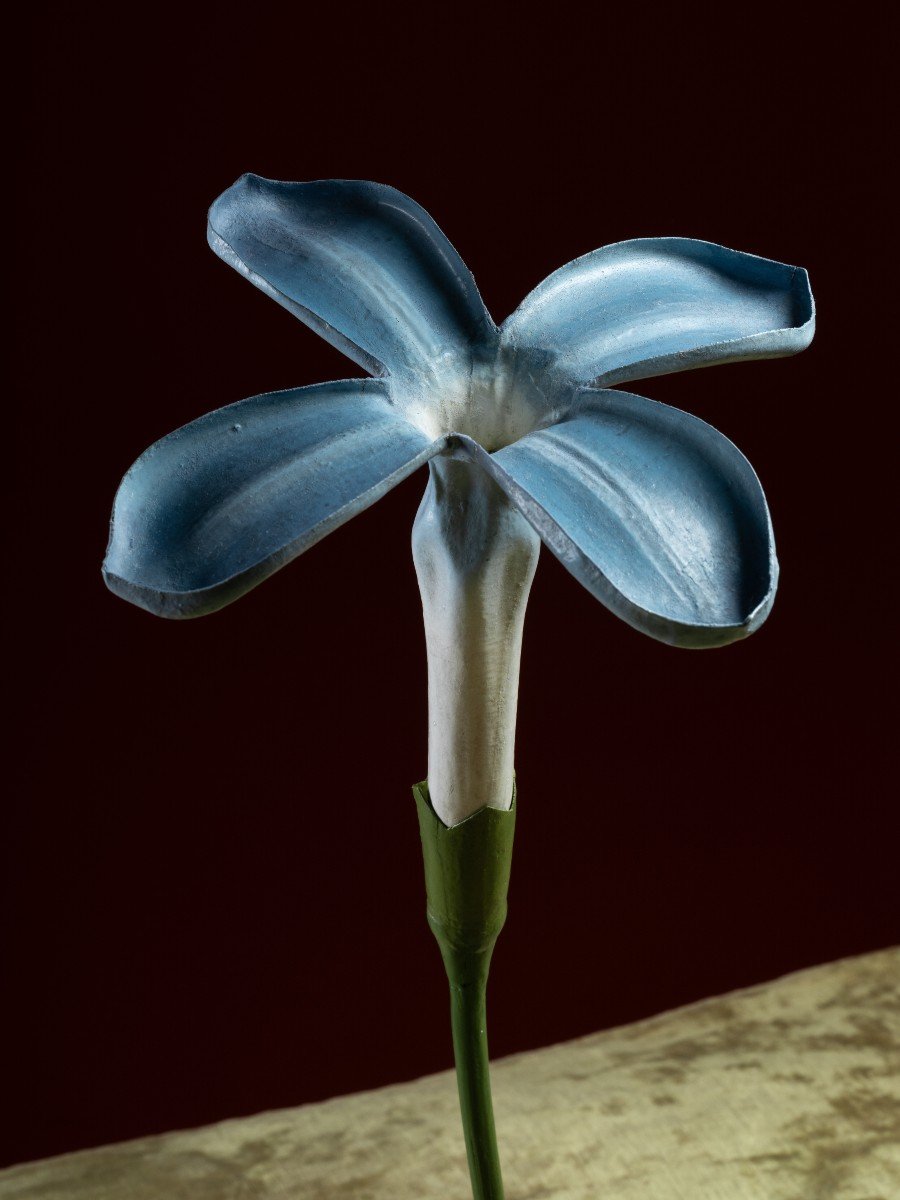 Botanical Model Of A Lilac Flower (syringa Vulgaris) By Robert Brendel-photo-2