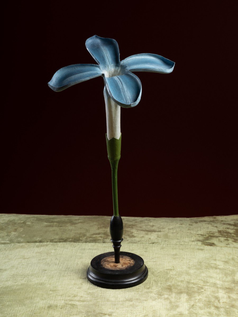 Botanical Model Of A Lilac Flower (syringa Vulgaris) By Robert Brendel