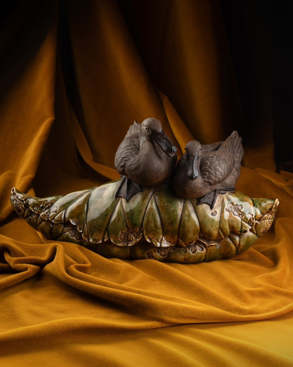 Couple de sarcelles sur une feuille de lotus