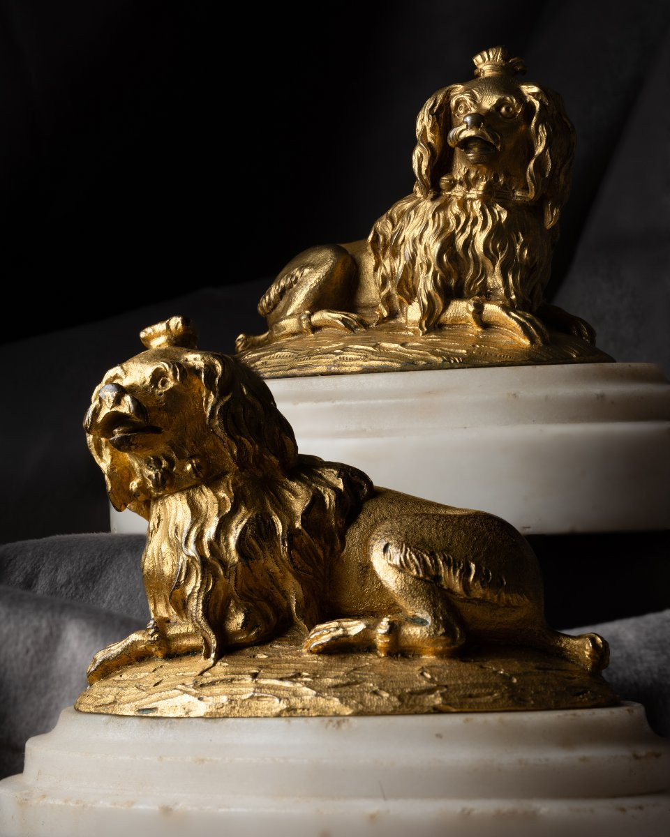Deux chiennes en bronze doré dites de la Marquise de Pompadour-photo-3
