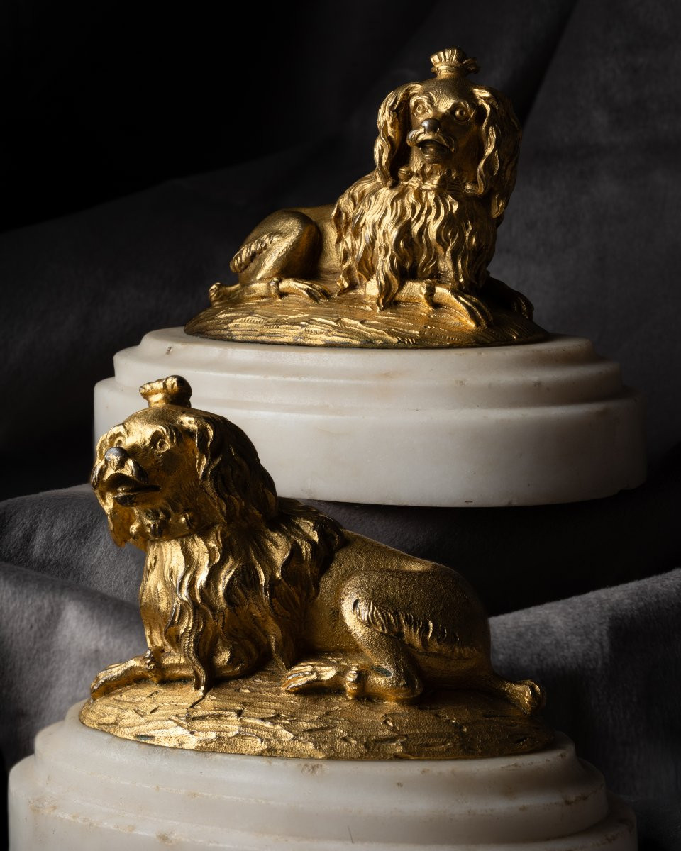 Deux chiennes en bronze doré dites de la Marquise de Pompadour-photo-4