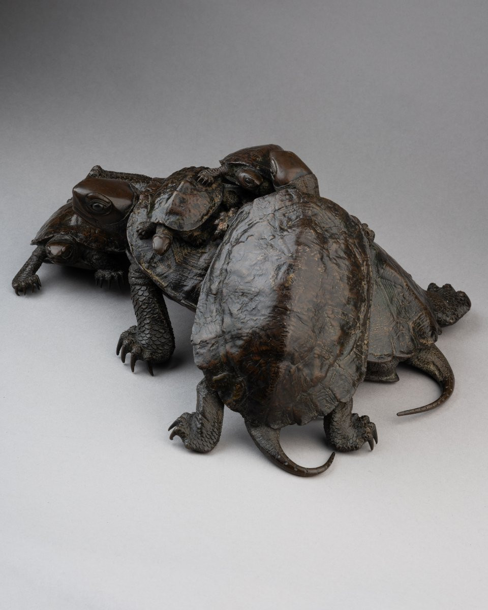 Five Tortoises, By Murata Seimin (1761-1837)-photo-4