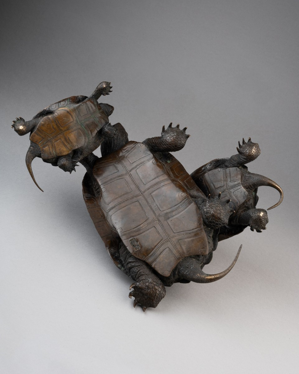 Five Tortoises, By Murata Seimin (1761-1837)-photo-1