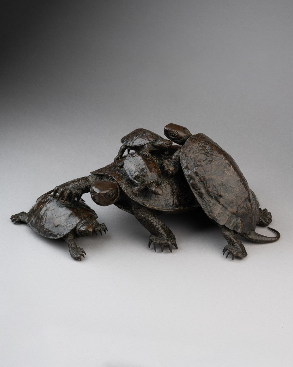 Five Tortoises, By Murata Seimin (1761-1837)