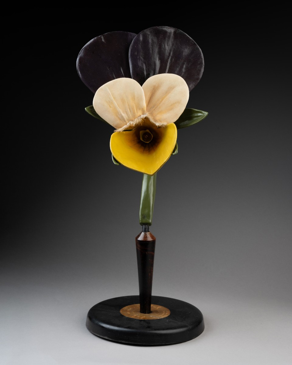A Botanical Model Of A Pansy (viola Tricolor)