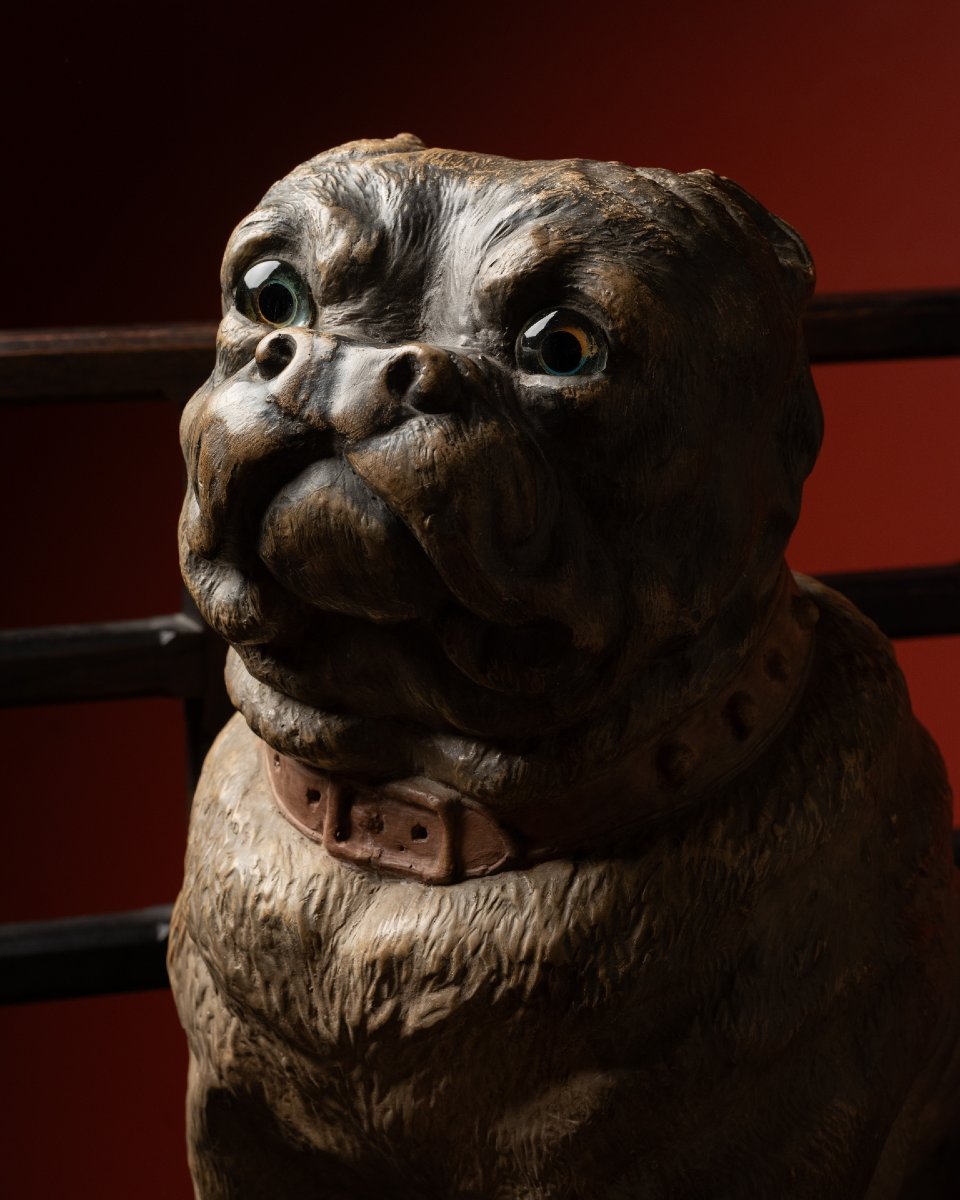 A Painted terracotta pug With Sulphide Eyes-photo-2