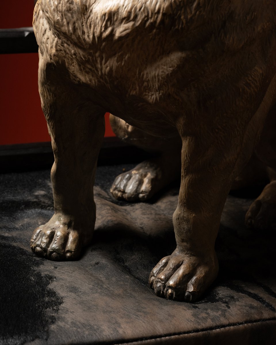 A Painted terracotta pug With Sulphide Eyes-photo-3