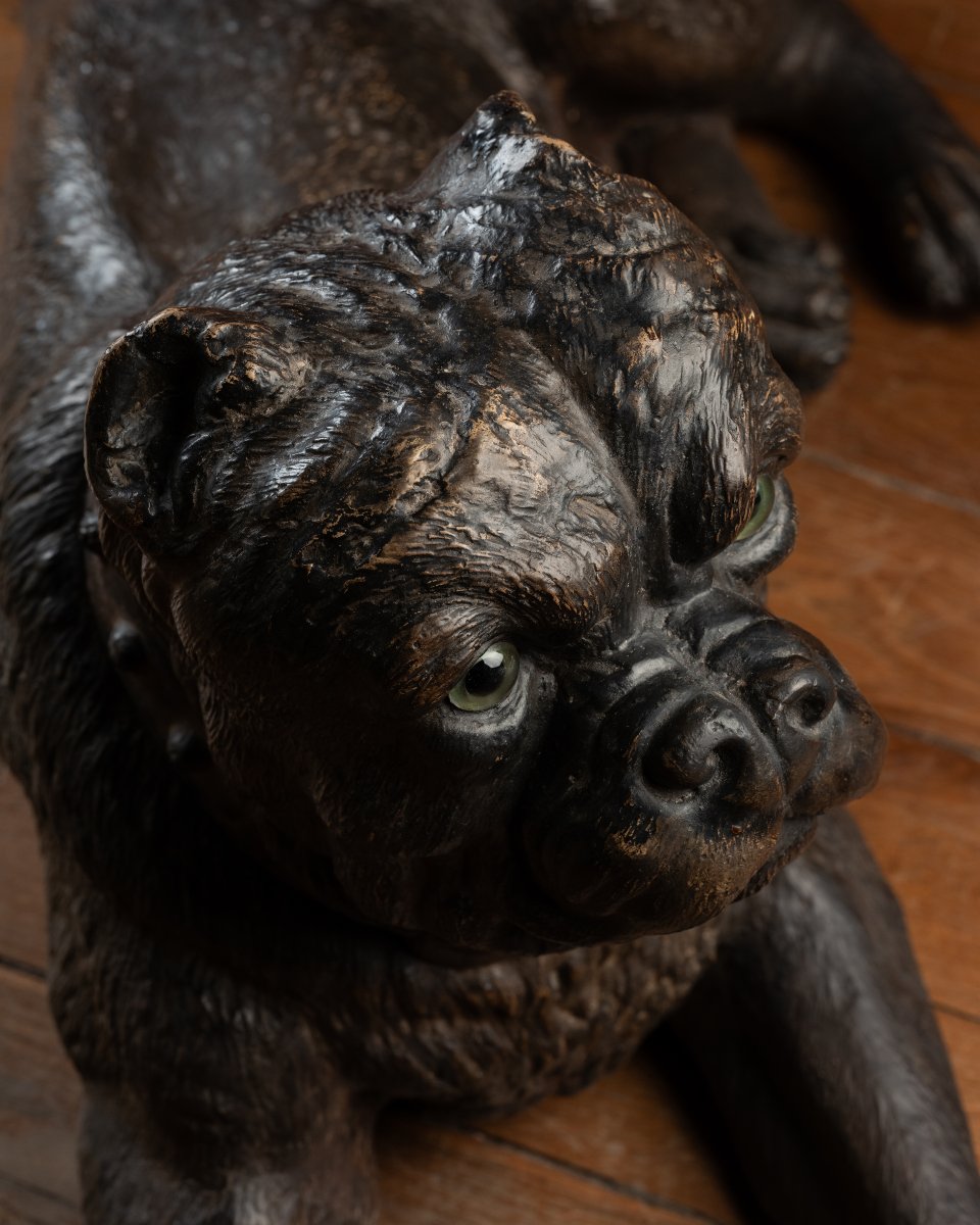 A Painted Reclining terracotta pug With Sulphide Eyes-photo-4