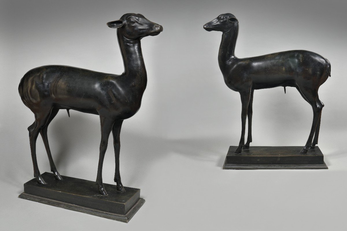 Paire de cerfs d'Herculanum