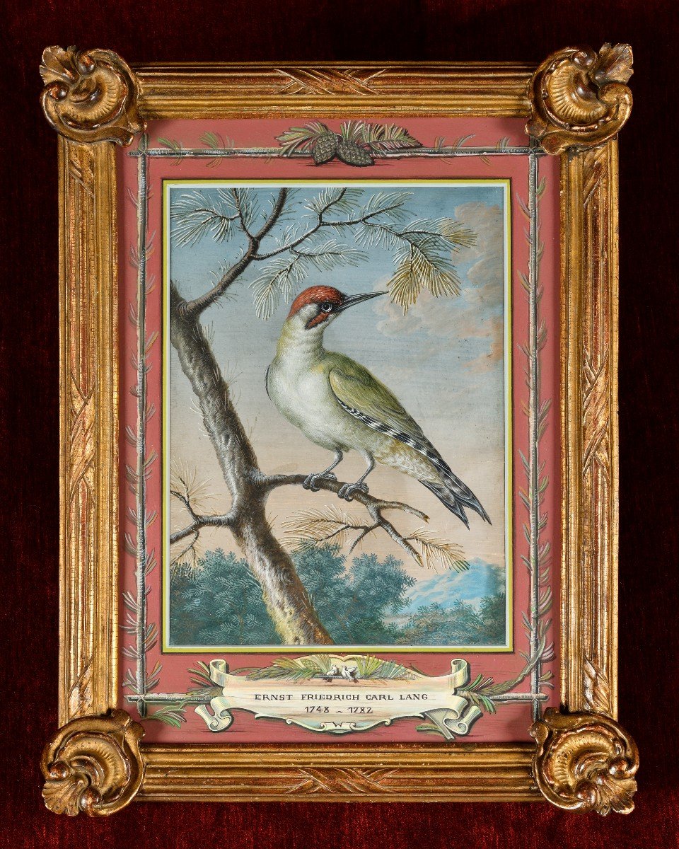 Pic Vert - Ernst Friedrich Carl Lang (1748-1782)