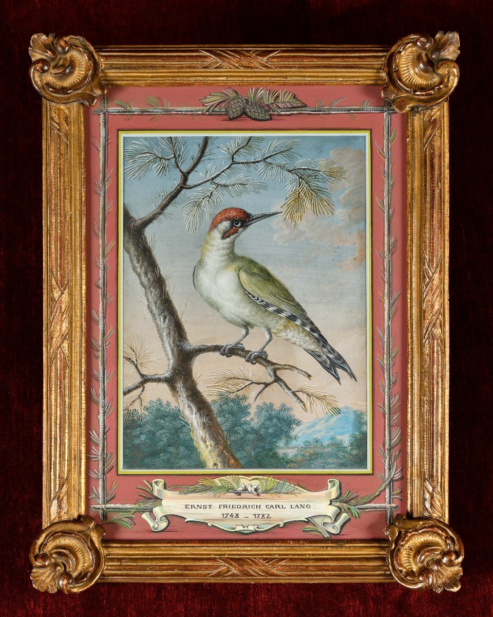 Pic Vert - Ernst Friedrich Carl Lang (1748-1782)