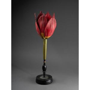 Anatomical Model Of A Tulip - Brendel - 19th Century