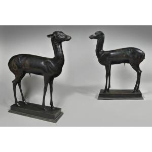 Pair Of Herculanuem Stags