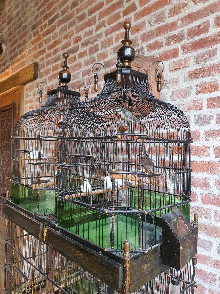 Grande Cage à Oiseaux Fin XIXeme -photo-2