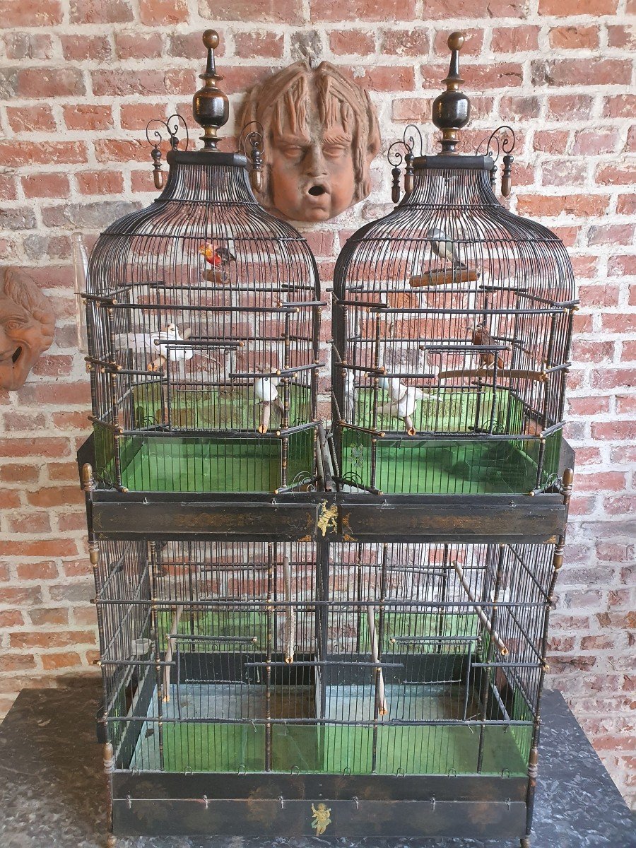 Grande Cage à Oiseaux Fin XIXeme 