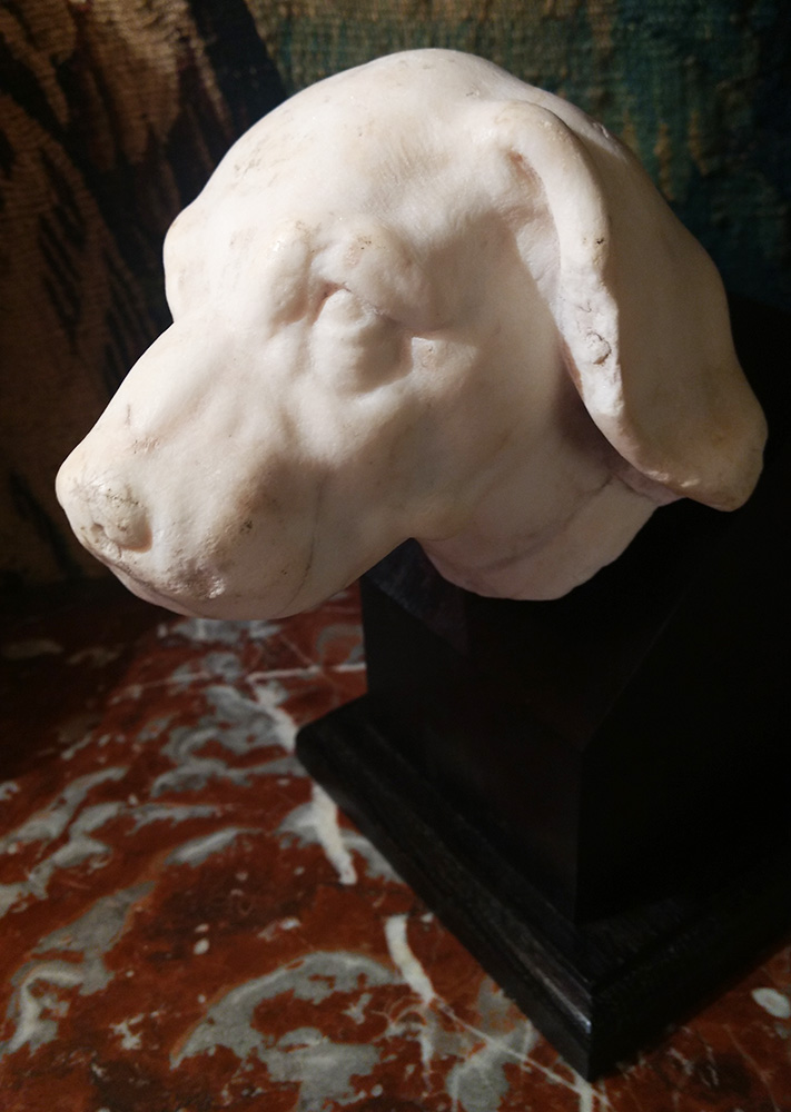 Tête de chien en marbre blanc-photo-4