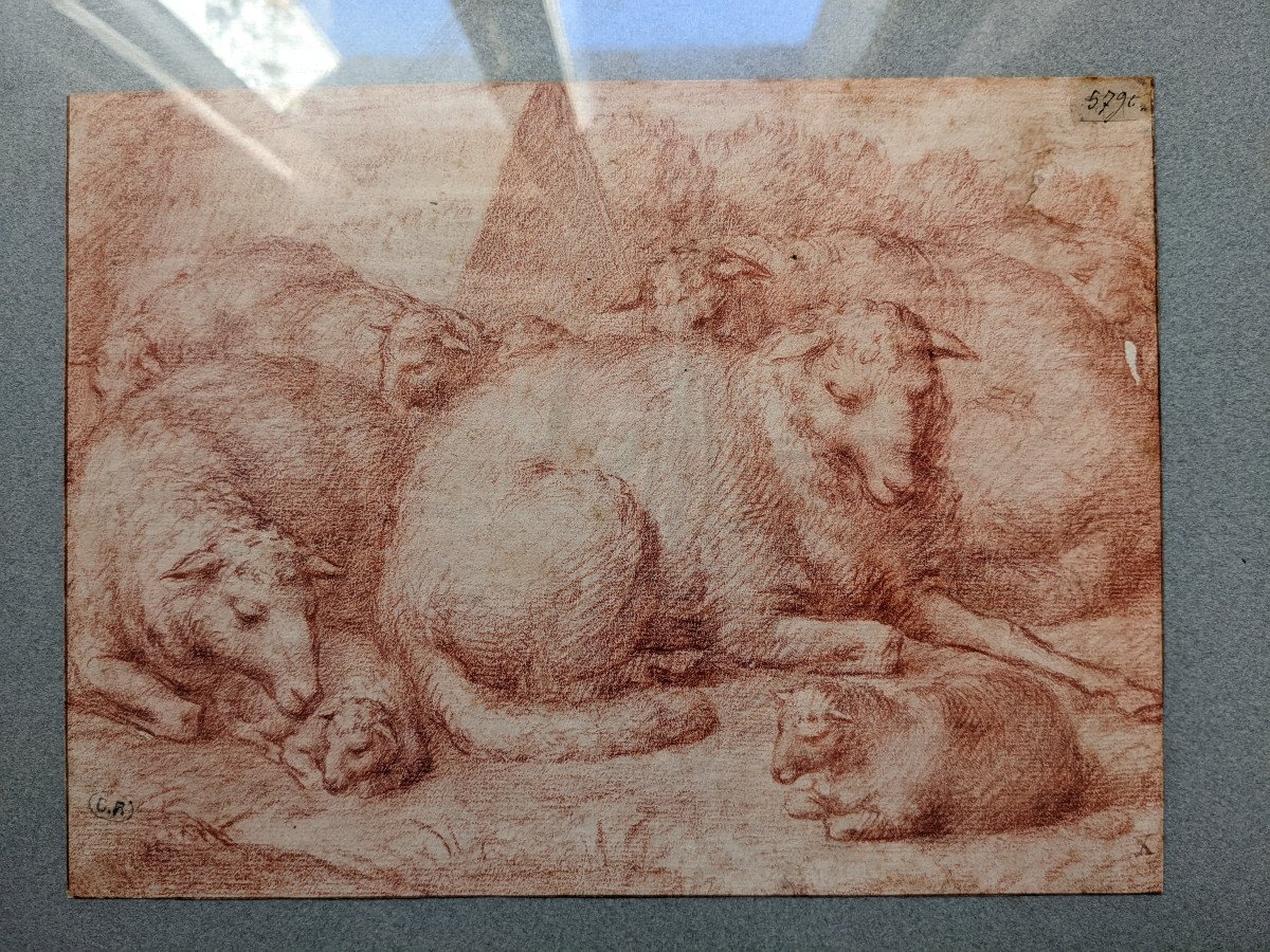 Moutons au repos, dessin XVIIe à la sanguine-photo-2