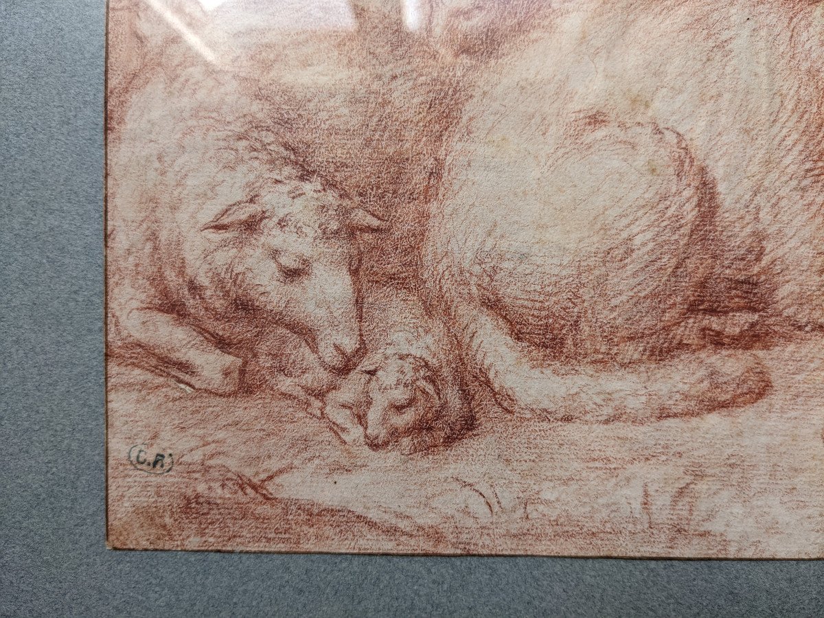 Moutons au repos, dessin XVIIe à la sanguine-photo-3