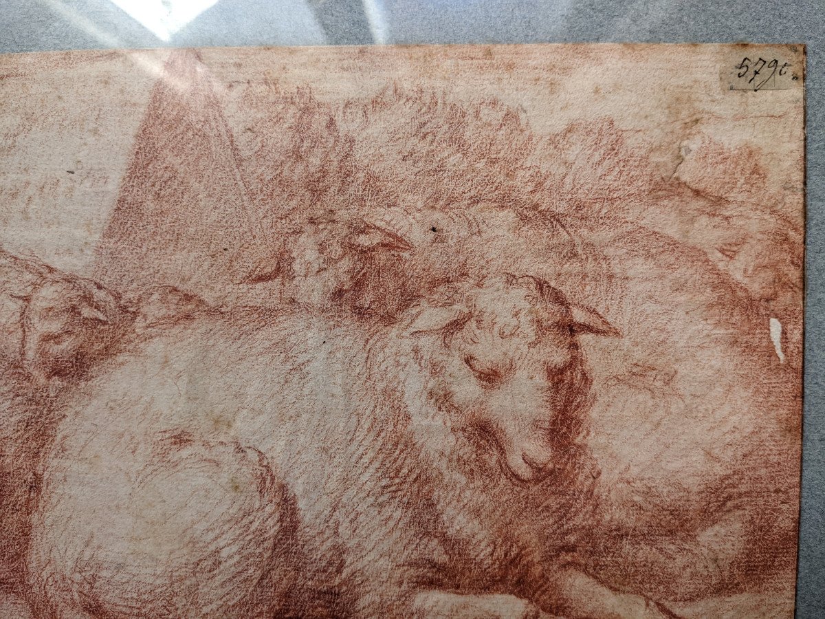 Moutons au repos, dessin XVIIe à la sanguine-photo-1