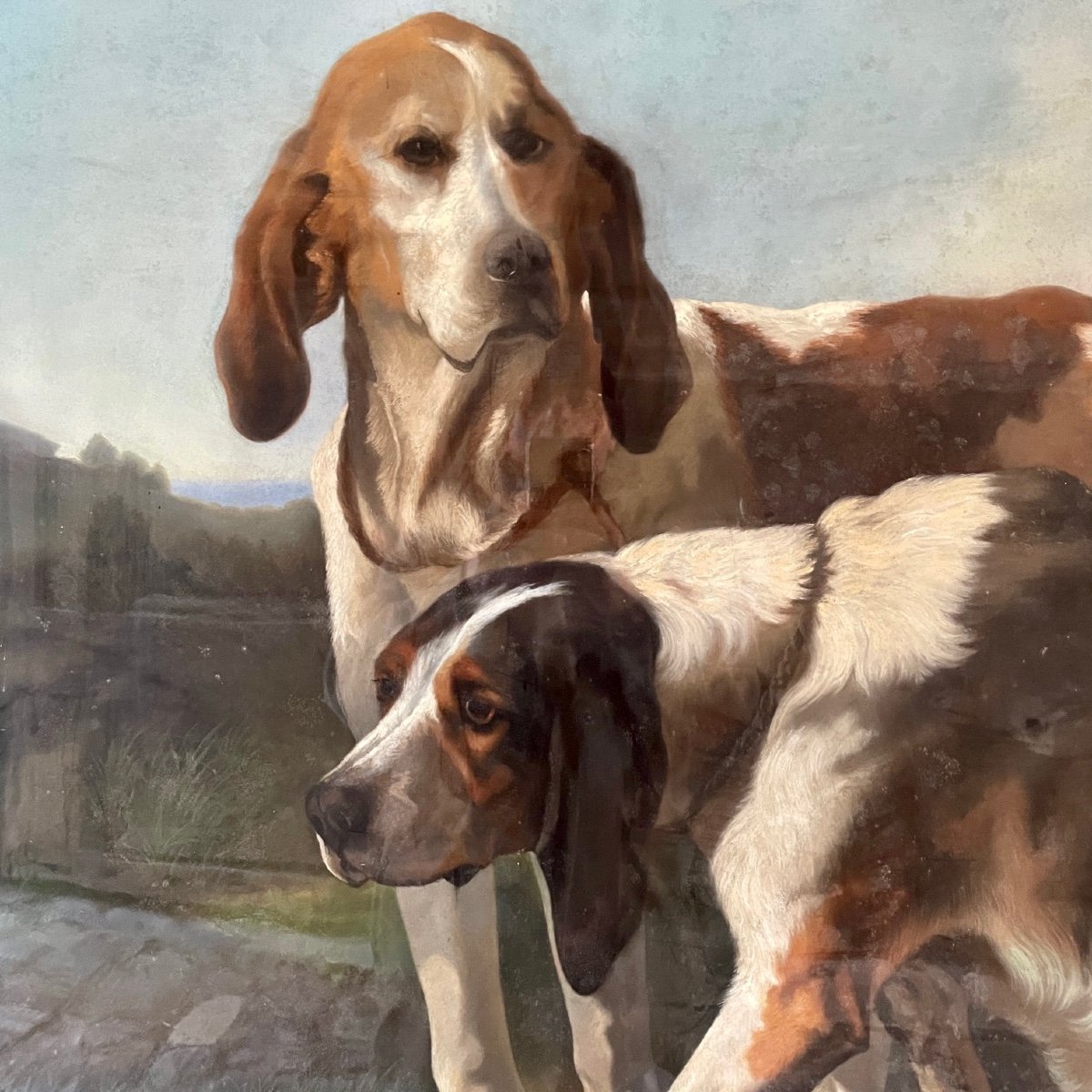 Pastel Dogs Grand Franco Anglais-photo-4