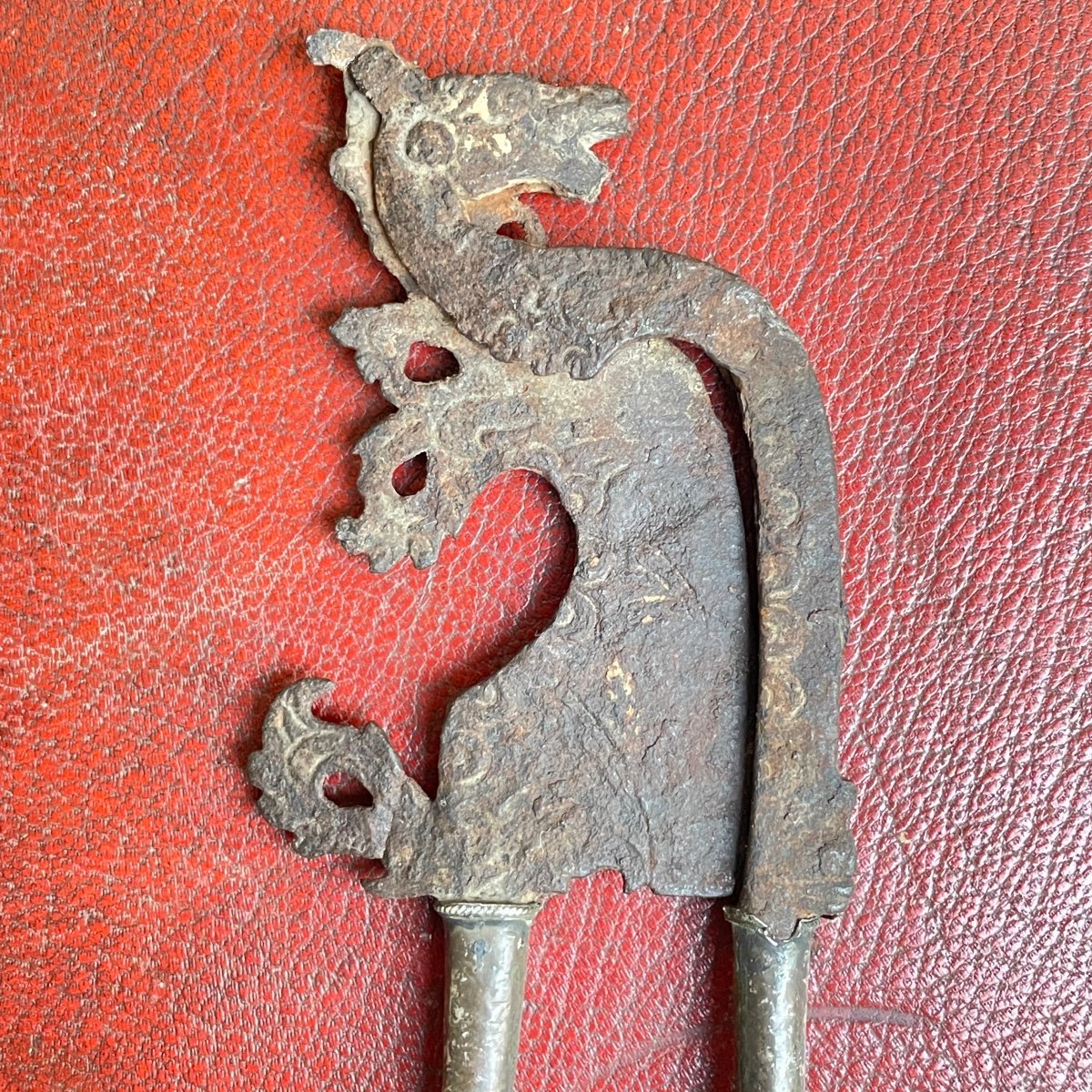 Betel Nutcracker-photo-2