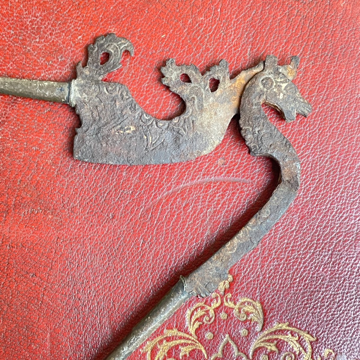 Betel Nutcracker-photo-3