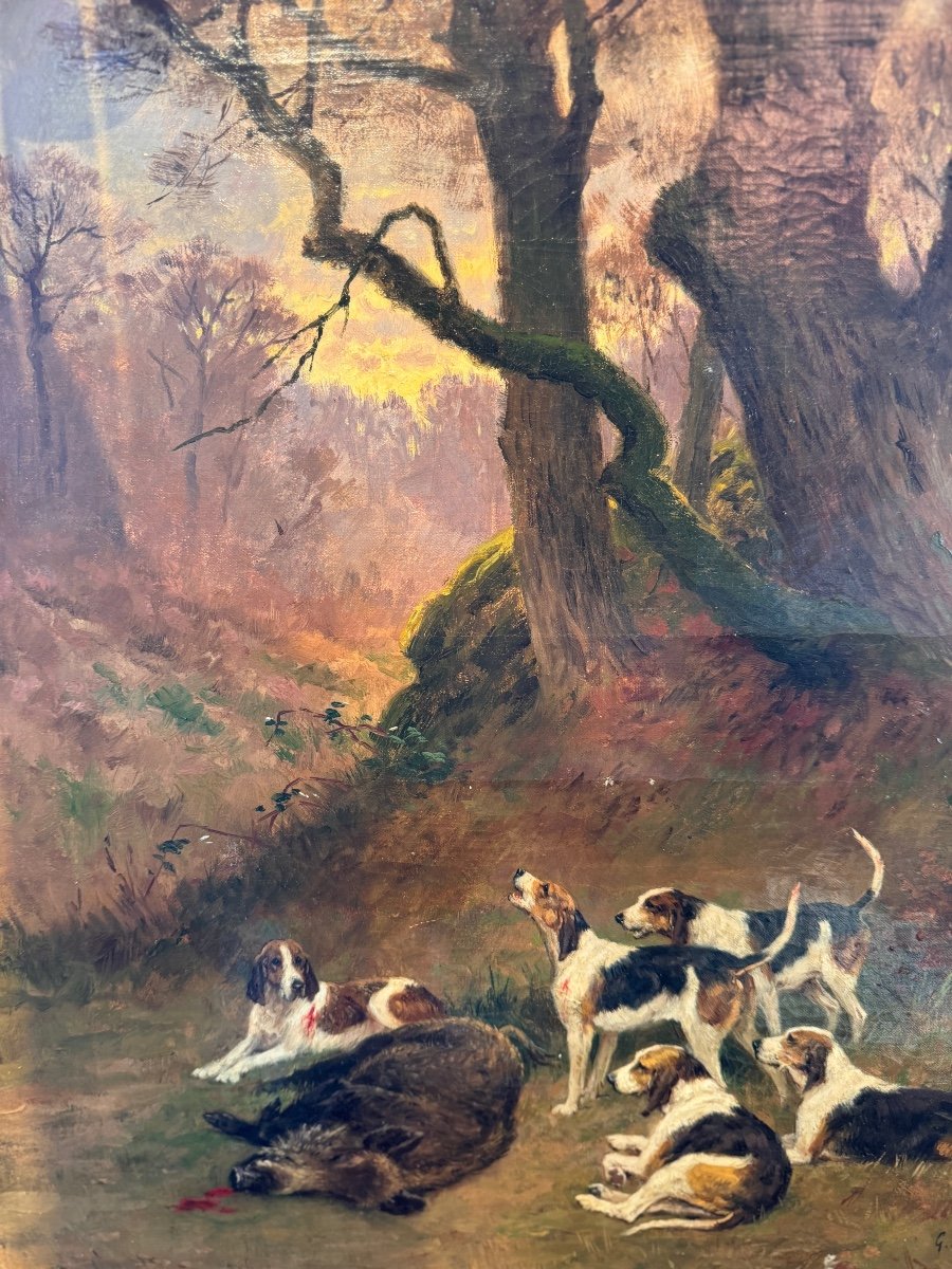Hst Wild Boar Hunting