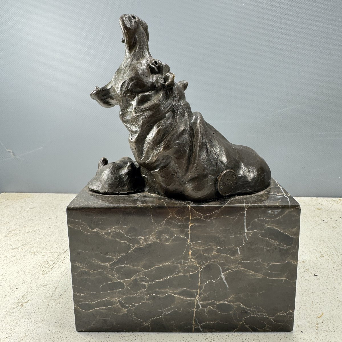 Paire De Serres-livres Hippopotames Et Rhinocéros En Bronze-photo-3