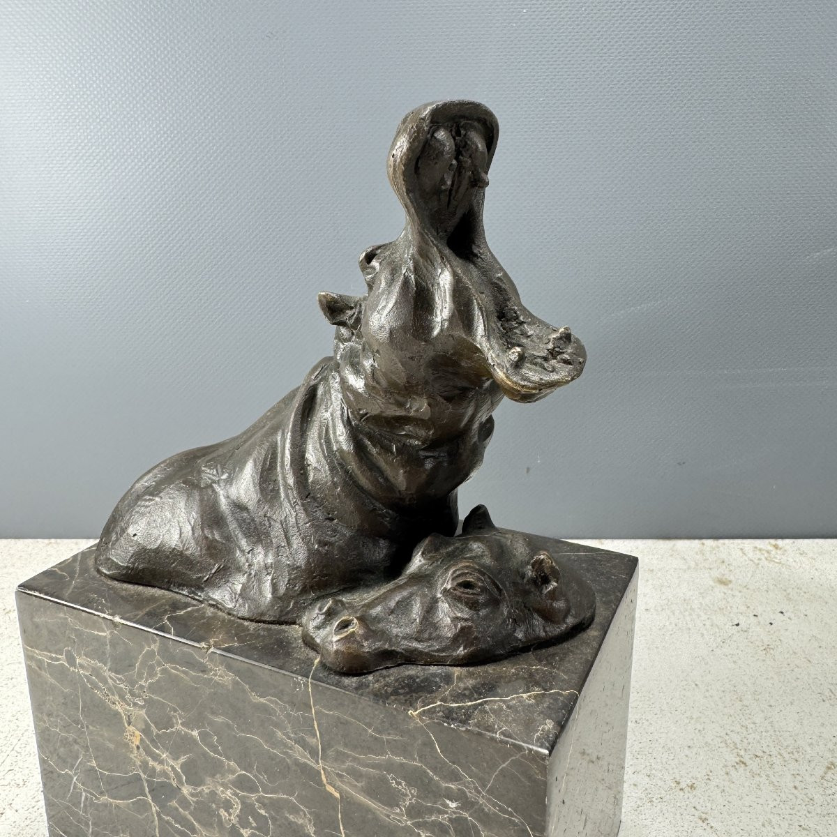 Paire De Serres-livres Hippopotames Et Rhinocéros En Bronze-photo-3