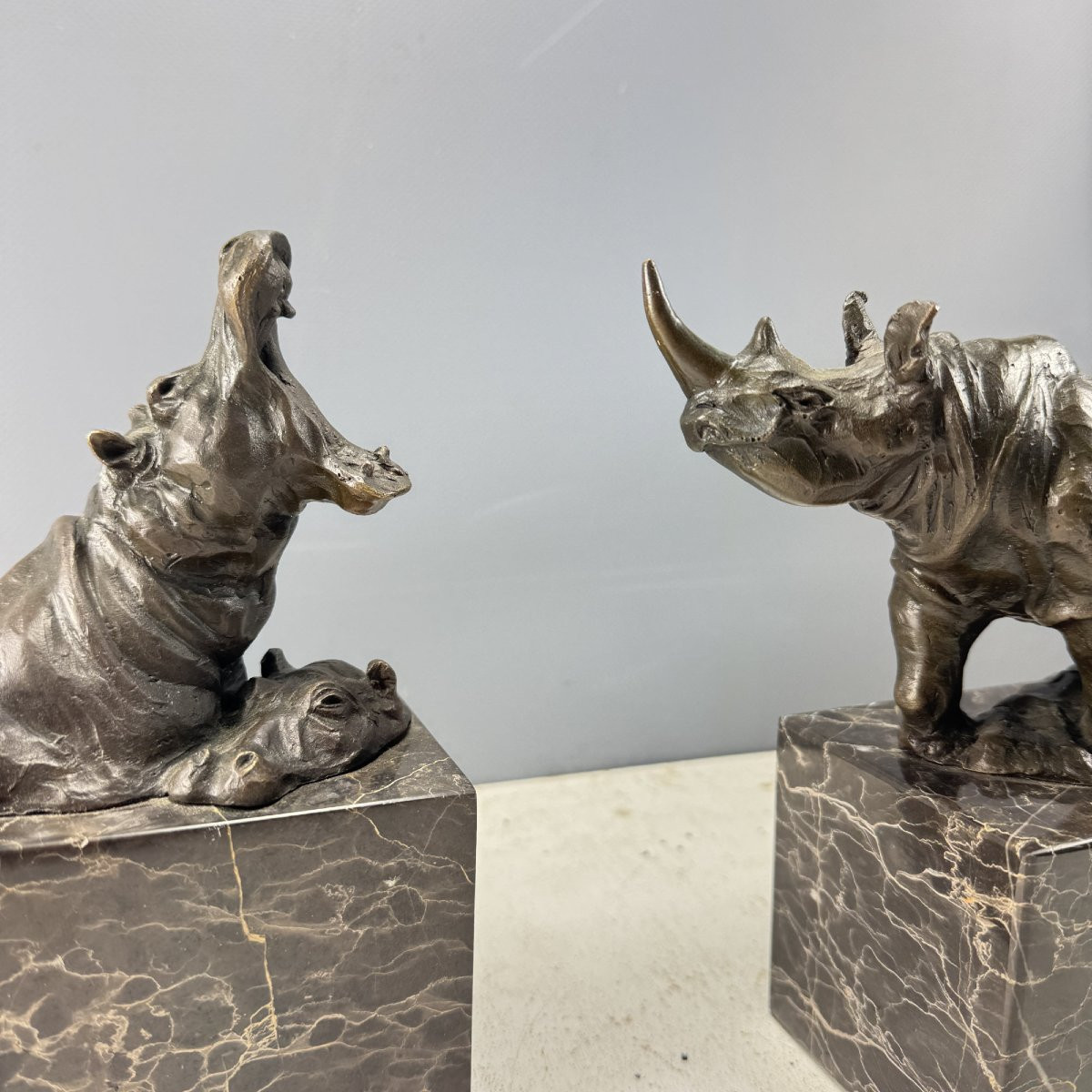 Paire De Serres-livres Hippopotames Et Rhinocéros En Bronze-photo-8