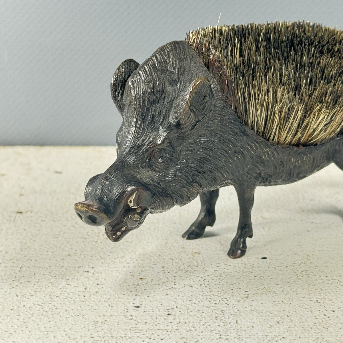 Brosse sanglier-photo-3