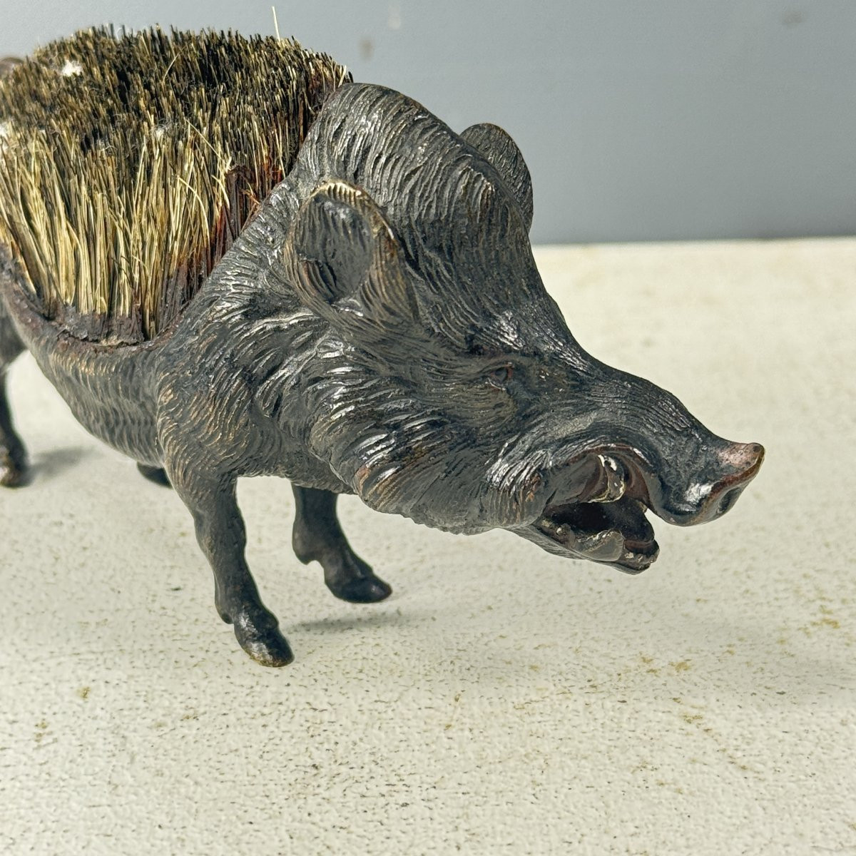 Brosse sanglier-photo-1