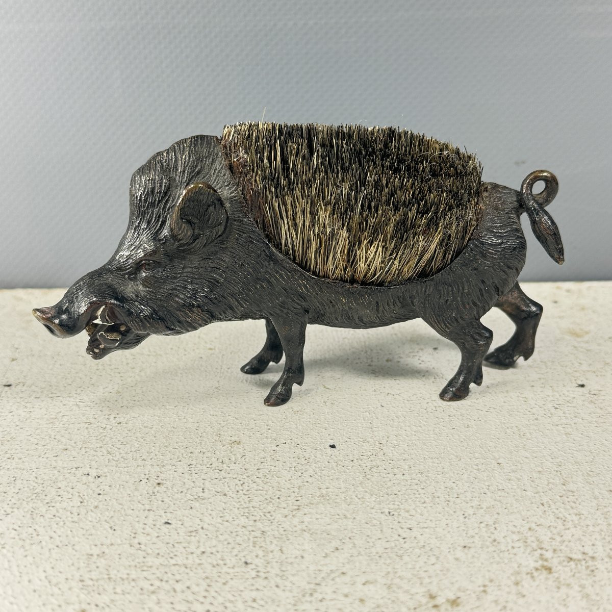 Brosse sanglier-photo-5
