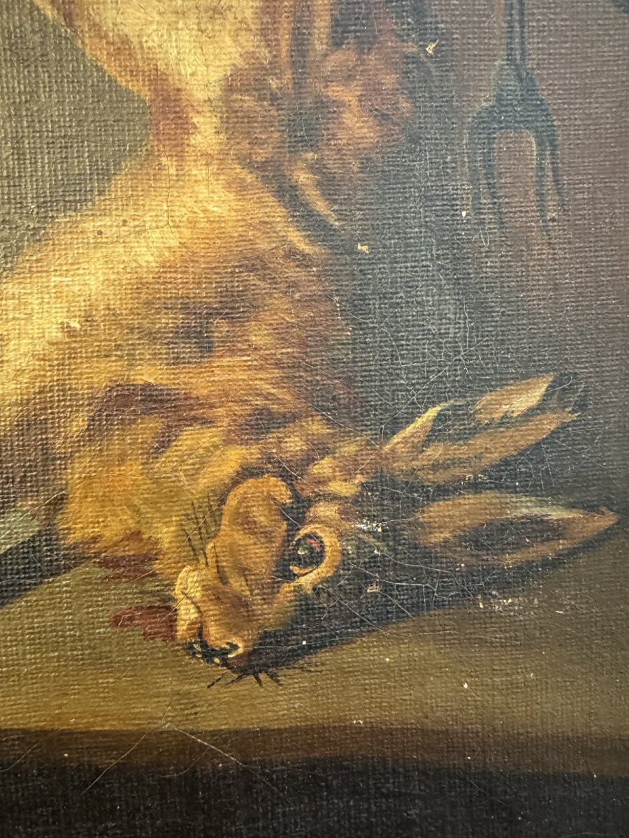 Nature morte au lièvre-photo-4