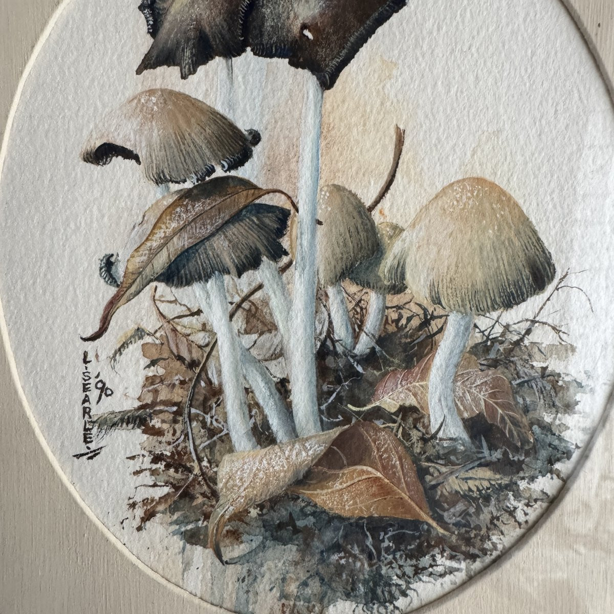 Aquarelle naturaliste aux champignons sous bois-photo-4