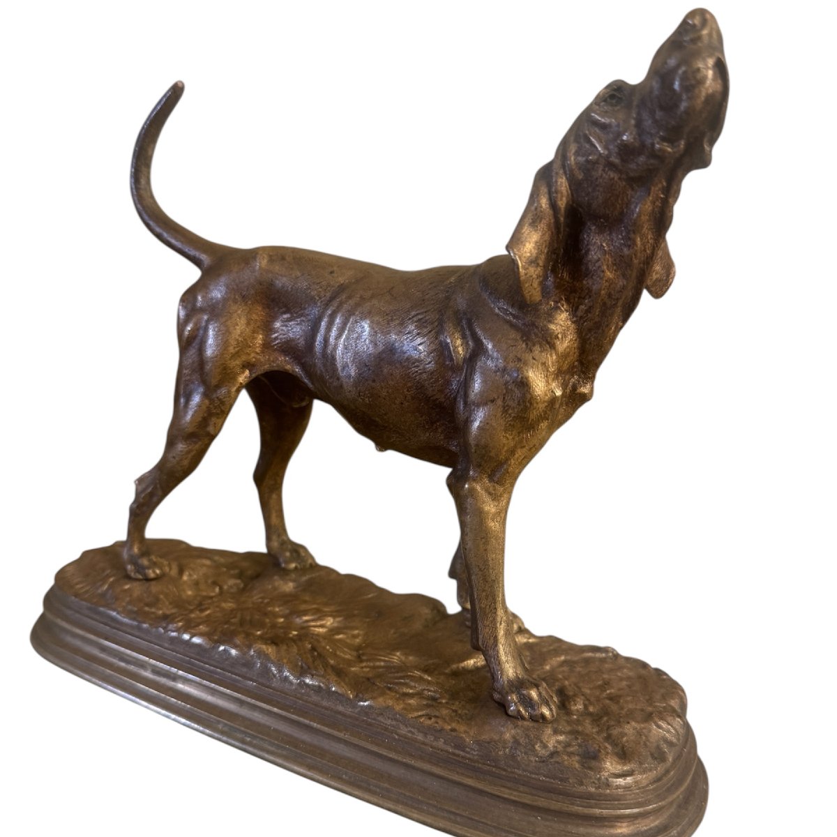 Bronze By Alfred Dubucand-photo-3