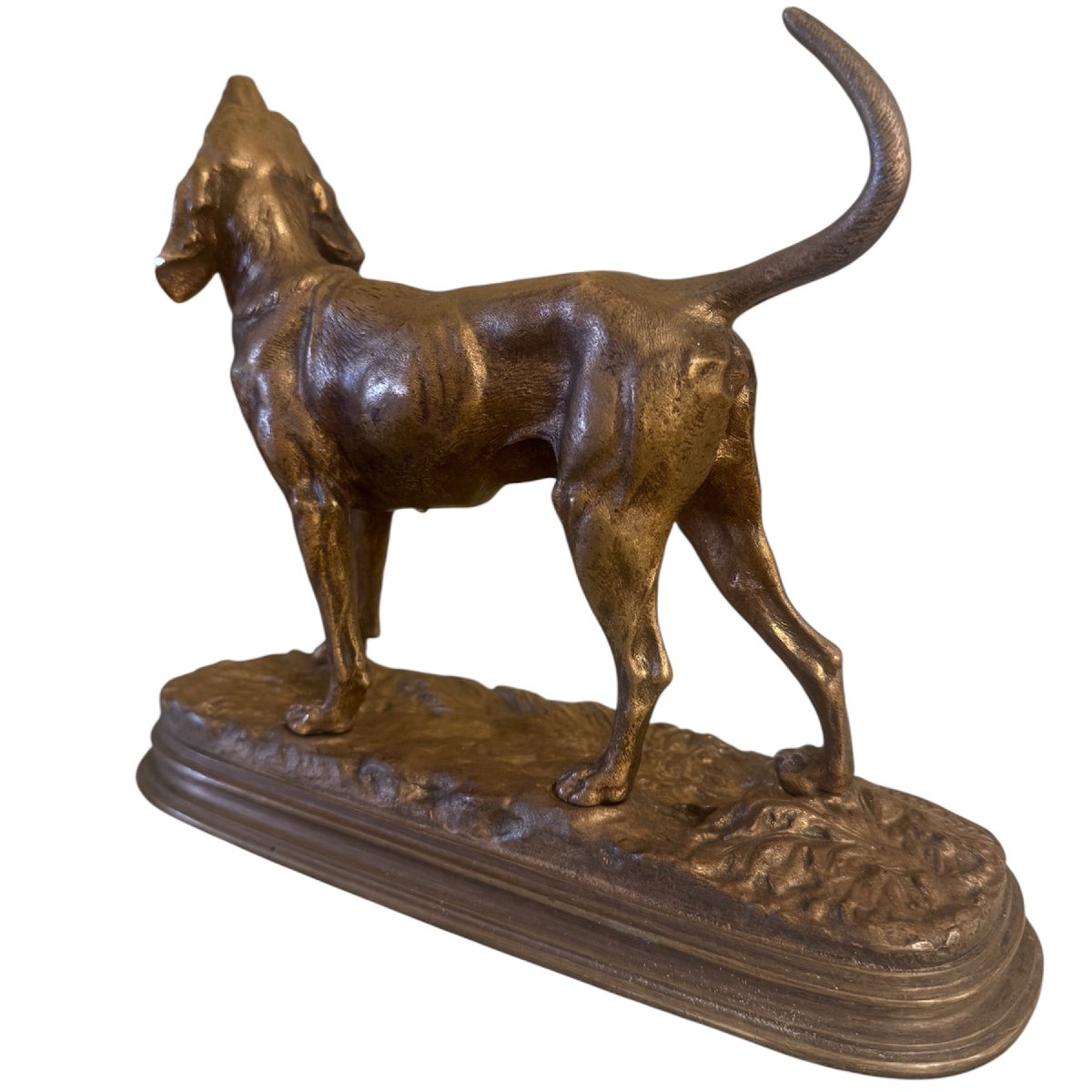 Bronze By Alfred Dubucand-photo-2