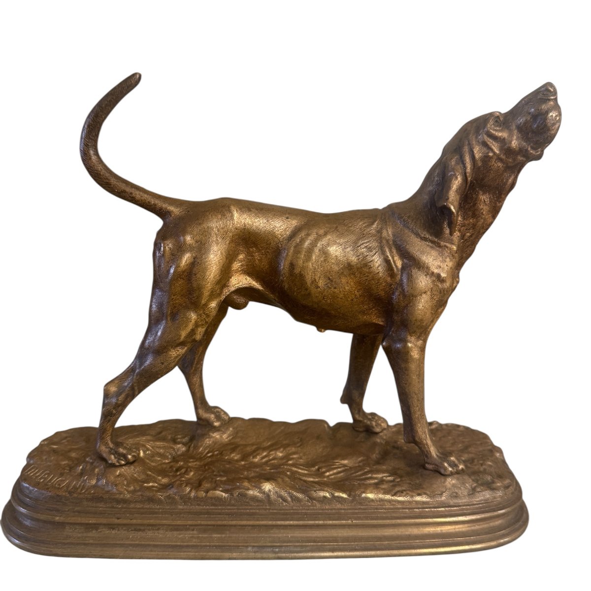 Bronze By Alfred Dubucand