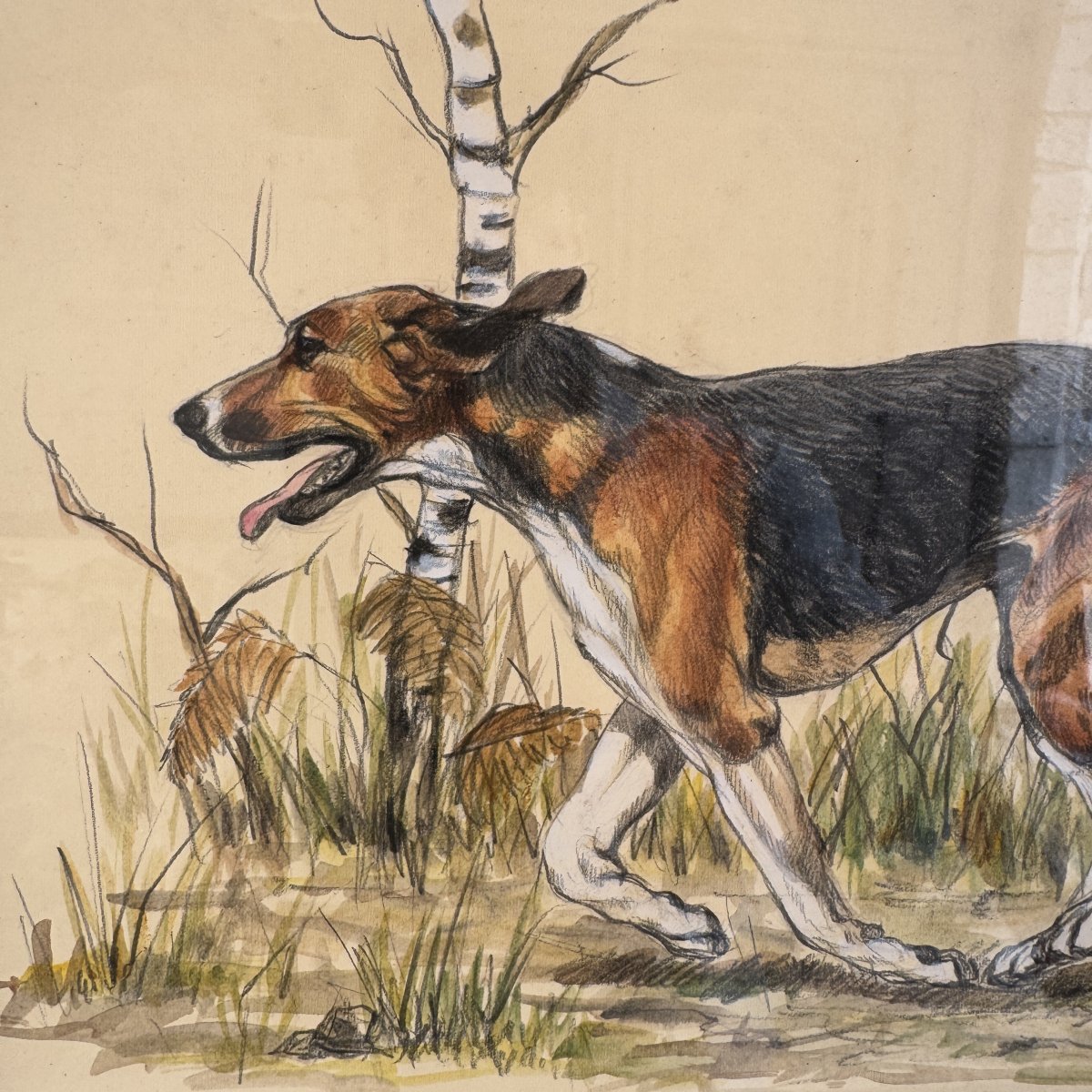 Aquarelle Chien courant signé C.Farvacques-photo-3