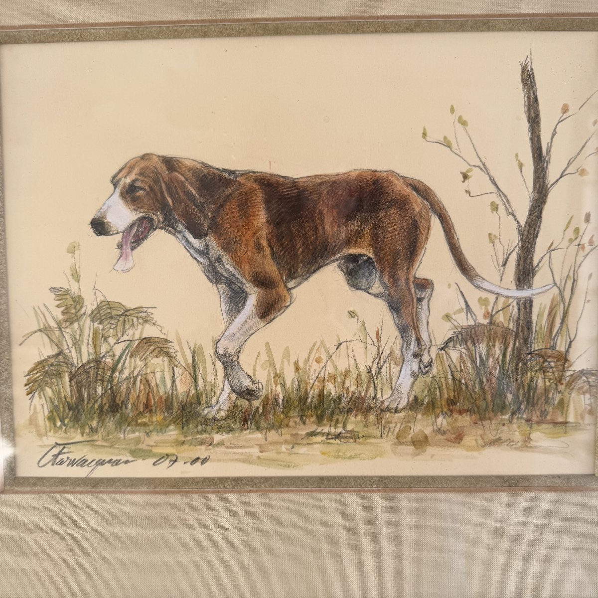 Aquarelle chien de chasse C. Farvacques-photo-2